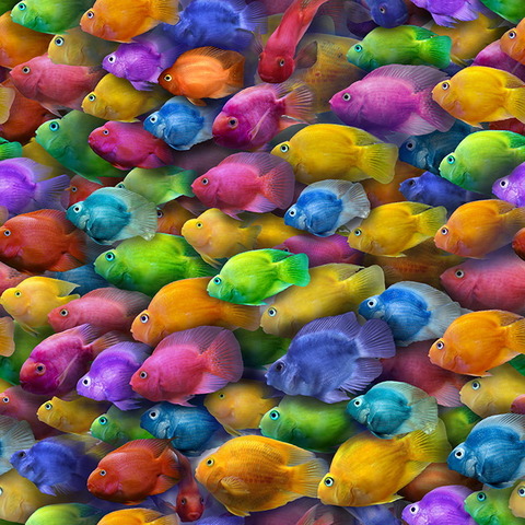 ύφασμα ενυδρείο με ψάρια σε χρώματα ΝΕΟΝ φλούο κίτρινο ,πράσινο,μπλέελεκτρίκ, φούξια